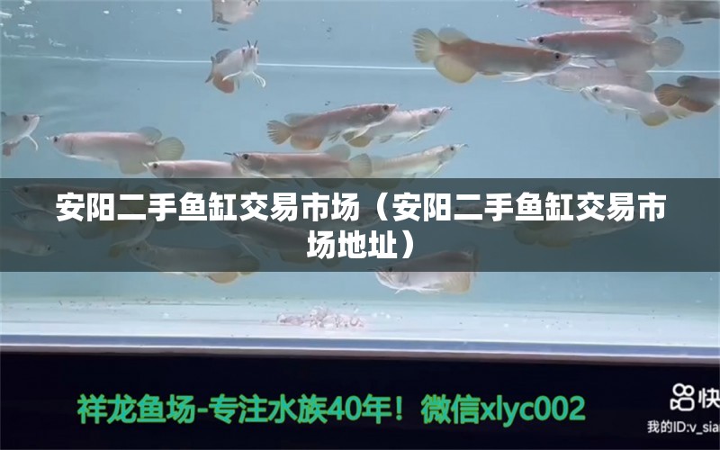 安陽二手魚缸交易市場（安陽二手魚缸交易市場地址）