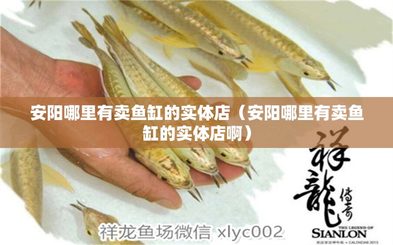 安陽(yáng)哪里有賣(mài)魚(yú)缸的實(shí)體店（安陽(yáng)哪里有賣(mài)魚(yú)缸的實(shí)體店?。?祥龍水族醫(yī)院