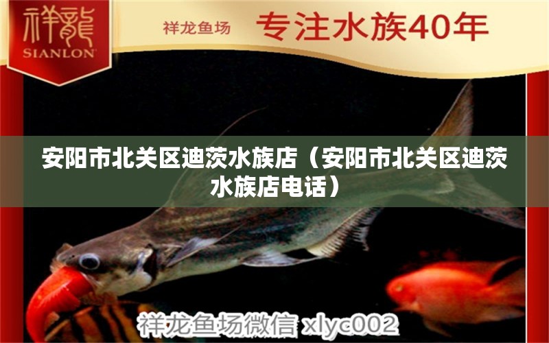 安陽市北關區(qū)迪茨水族店（安陽市北關區(qū)迪茨水族店電話） 全國水族館企業(yè)名錄