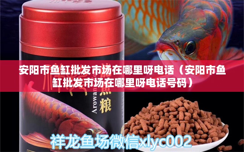 安陽(yáng)市魚缸批發(fā)市場(chǎng)在哪里呀電話（安陽(yáng)市魚缸批發(fā)市場(chǎng)在哪里呀電話號(hào)碼） 其他品牌魚缸