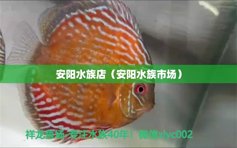 安陽水族店（安陽水族市場）