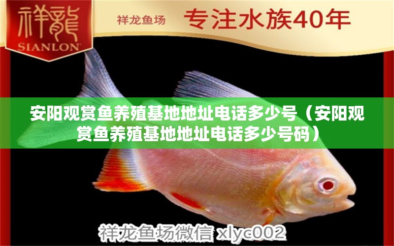 安陽觀賞魚養(yǎng)殖基地地址電話多少號（安陽觀賞魚養(yǎng)殖基地地址電話多少號碼）