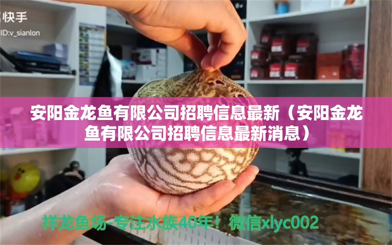 安陽金龍魚有限公司招聘信息最新（安陽金龍魚有限公司招聘信息最新消息）