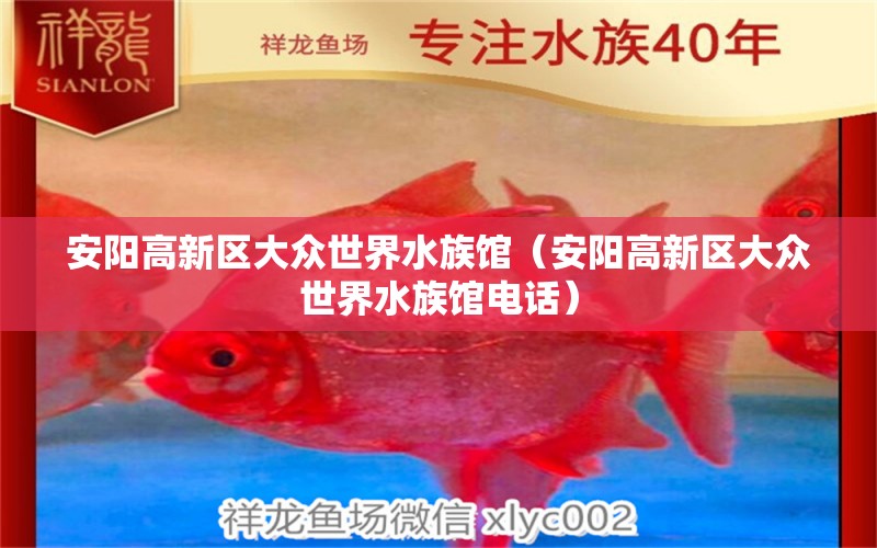 安陽高新區(qū)大眾世界水族館（安陽高新區(qū)大眾世界水族館電話） 全國水族館企業(yè)名錄