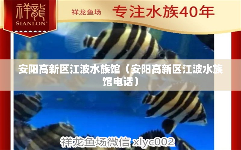 安陽(yáng)高新區(qū)江波水族館（安陽(yáng)高新區(qū)江波水族館電話）