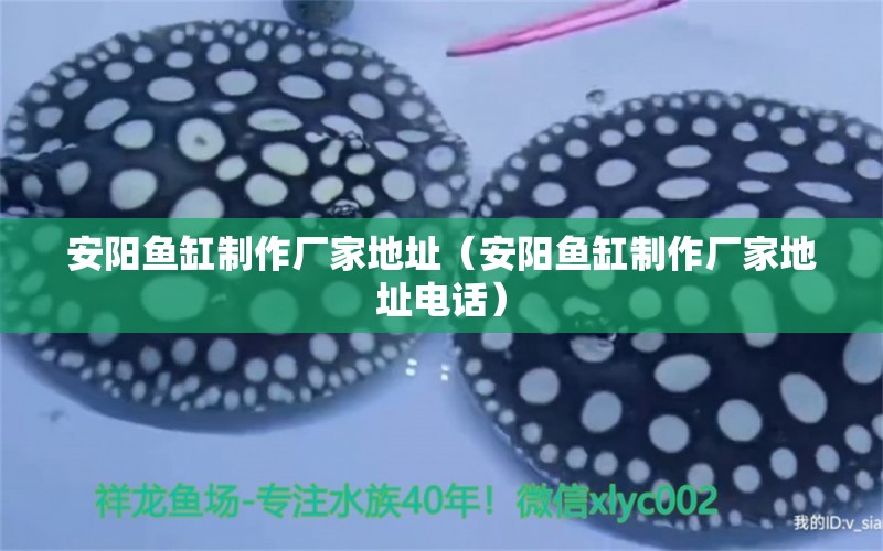 安陽魚缸制作廠家地址（安陽魚缸制作廠家地址電話）