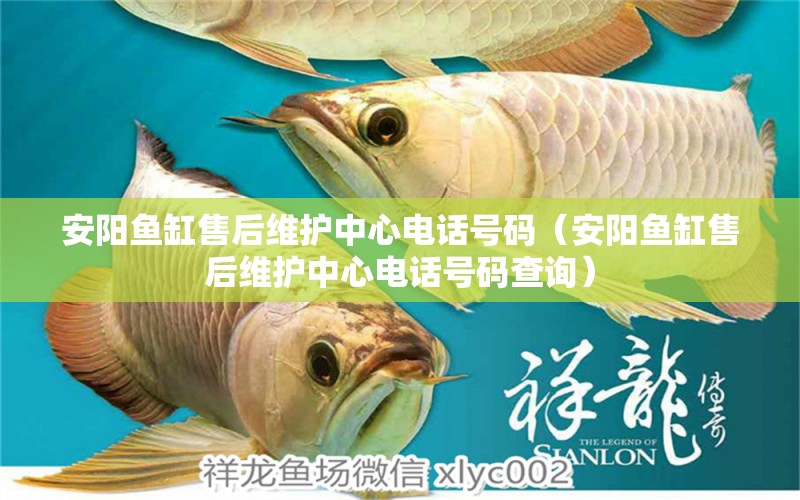 安陽魚缸售后維護(hù)中心電話號(hào)碼（安陽魚缸售后維護(hù)中心電話號(hào)碼查詢）