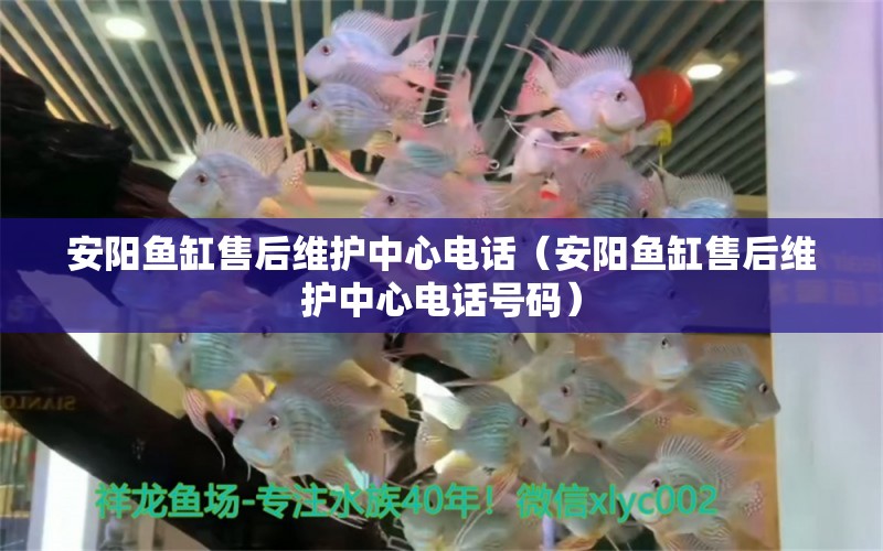 安陽(yáng)魚缸售后維護(hù)中心電話（安陽(yáng)魚缸售后維護(hù)中心電話號(hào)碼） 其他品牌魚缸