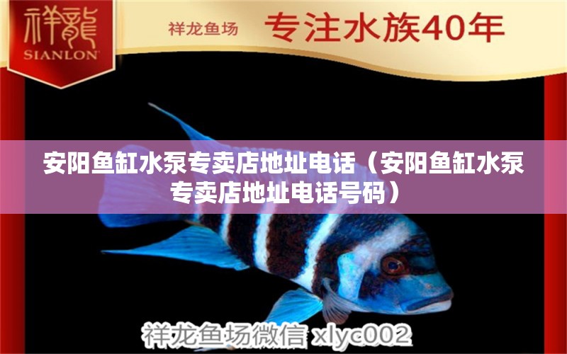 安陽魚缸水泵專賣店地址電話（安陽魚缸水泵專賣店地址電話號碼）