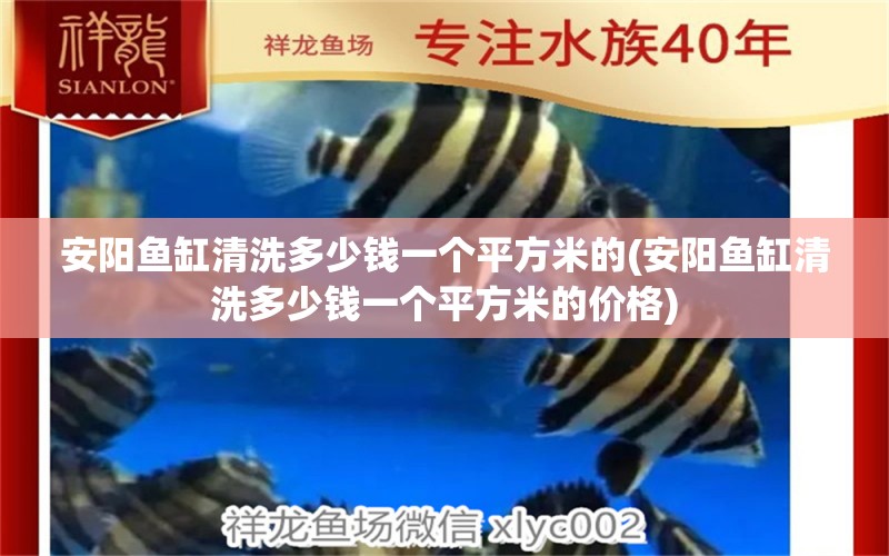 安陽魚缸清洗多少錢一個(gè)平方米的(安陽魚缸清洗多少錢一個(gè)平方米的價(jià)格) 帝王血鉆魚