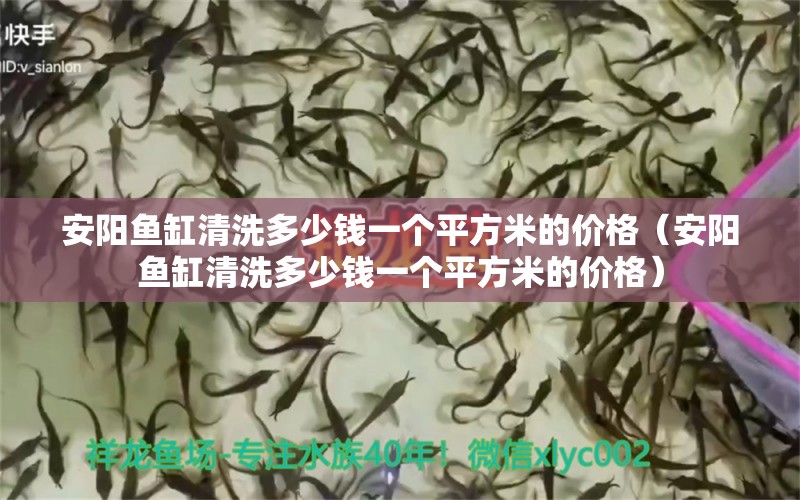 安陽魚缸清洗多少錢一個平方米的價格（安陽魚缸清洗多少錢一個平方米的價格） 祥龍水族醫(yī)院