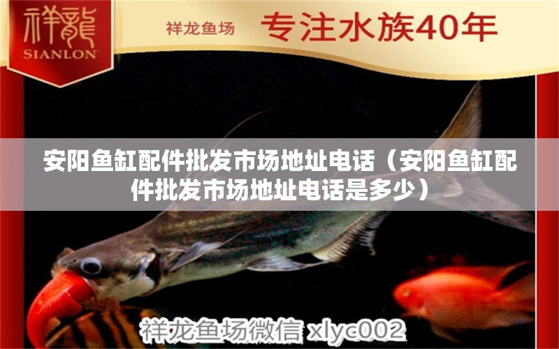 安陽(yáng)魚缸配件批發(fā)市場(chǎng)地址電話（安陽(yáng)魚缸配件批發(fā)市場(chǎng)地址電話是多少） 名貴錦鯉魚