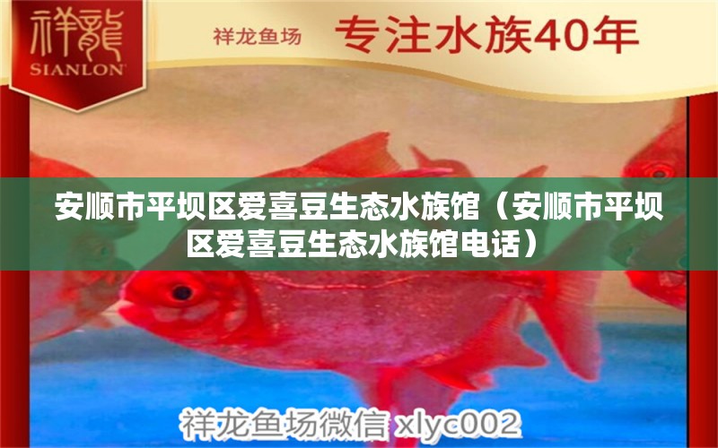 安順市平壩區(qū)愛喜豆生態(tài)水族館（安順市平壩區(qū)愛喜豆生態(tài)水族館電話）