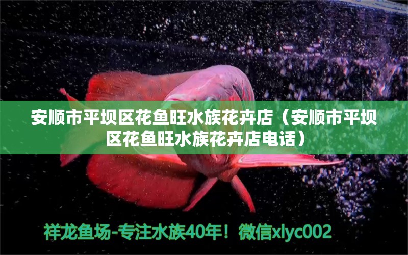 安順市平壩區(qū)花魚旺水族花卉店（安順市平壩區(qū)花魚旺水族花卉店電話） 全國水族館企業(yè)名錄