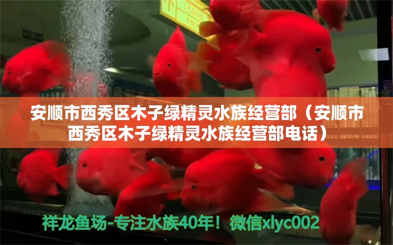 安順市西秀區(qū)木子綠精靈水族經(jīng)營部（安順市西秀區(qū)木子綠精靈水族經(jīng)營部電話）