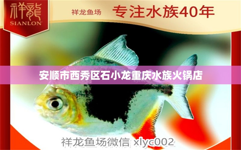 安順市西秀區(qū)石小龍重慶水族火鍋店