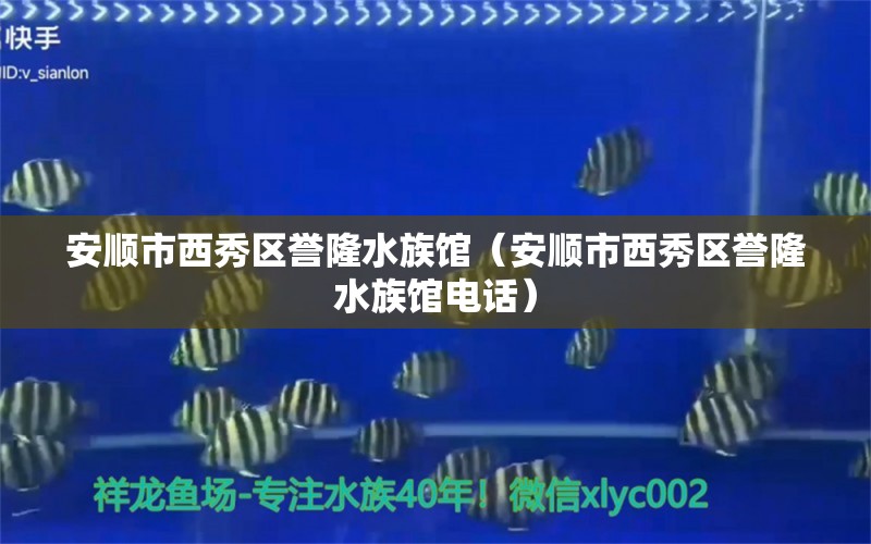 安順市西秀區(qū)譽隆水族館（安順市西秀區(qū)譽隆水族館電話）