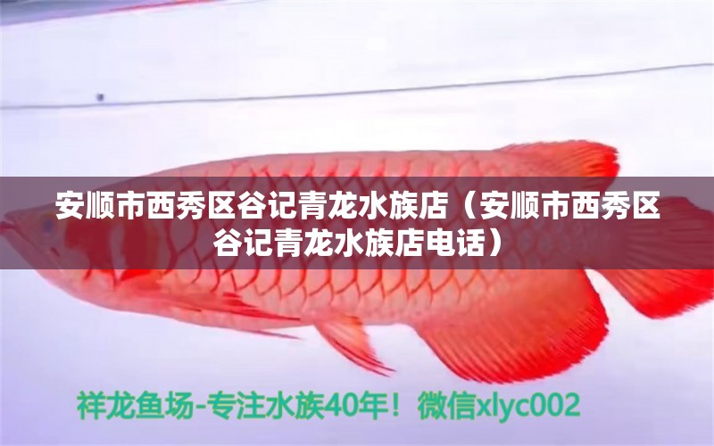 安順市西秀區(qū)谷記青龍水族店（安順市西秀區(qū)谷記青龍水族店電話）