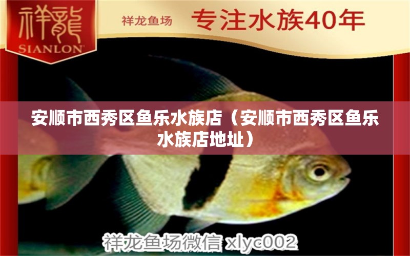 安順市西秀區(qū)魚(yú)樂(lè)水族店（安順市西秀區(qū)魚(yú)樂(lè)水族店地址） 全國(guó)水族館企業(yè)名錄