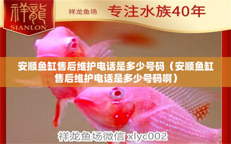 安順魚缸售后維護電話是多少號碼（安順魚缸售后維護電話是多少號碼?。? title=