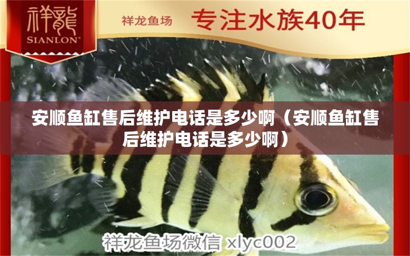 安順魚缸售后維護(hù)電話是多少?。ò岔橍~缸售后維護(hù)電話是多少?。?其他品牌魚缸