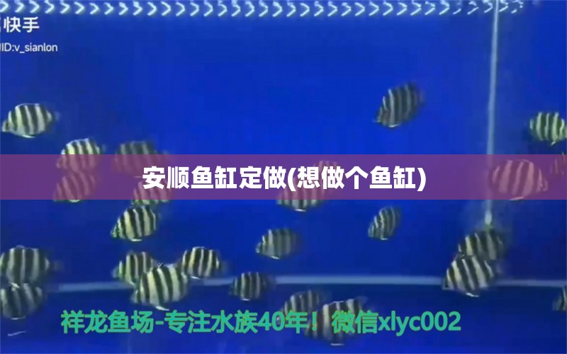 安順魚缸定做(想做個(gè)魚缸)