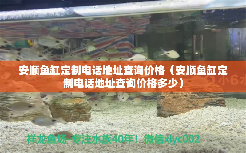 安順魚缸定制電話地址查詢價(jià)格（安順魚缸定制電話地址查詢價(jià)格多少） 一眉道人魚苗