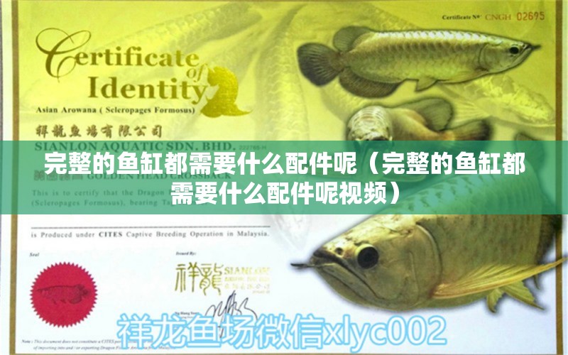 完整的魚(yú)缸都需要什么配件呢（完整的魚(yú)缸都需要什么配件呢視頻）