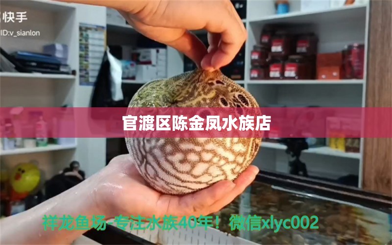 官渡區(qū)陳金鳳水族店