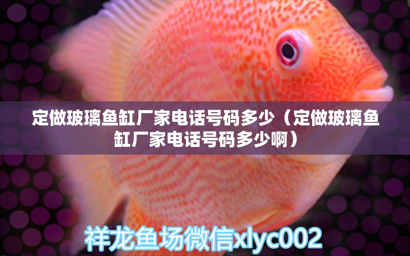 定做玻璃魚缸廠家電話號碼多少（定做玻璃魚缸廠家電話號碼多少?。? title=