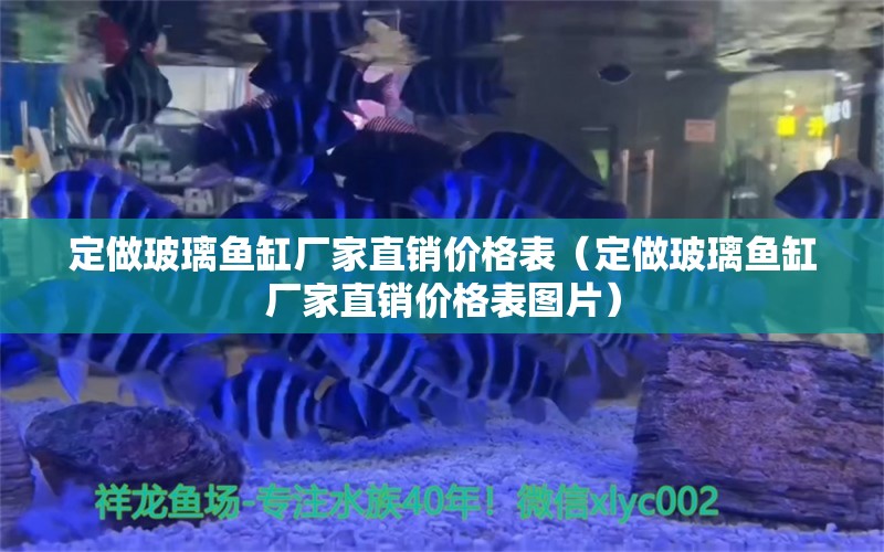 定做玻璃魚(yú)缸廠家直銷價(jià)格表（定做玻璃魚(yú)缸廠家直銷價(jià)格表圖片） 祥龍水族醫(yī)院