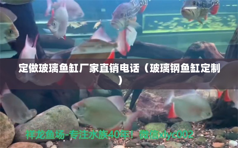 定做玻璃魚缸廠家直銷電話（玻璃鋼魚缸定制）