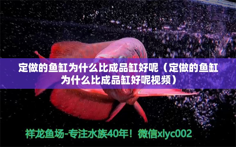 定做的魚缸為什么比成品缸好呢（定做的魚缸為什么比成品缸好呢視頻） 檸檬鯽