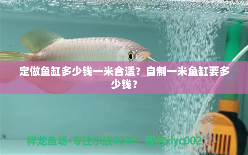 定做魚缸多少錢一米合適？自制一米魚缸要多少錢？ 黃金河虎魚