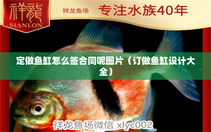 定做魚缸怎么簽合同呢圖片（訂做魚缸設(shè)計(jì)大全）