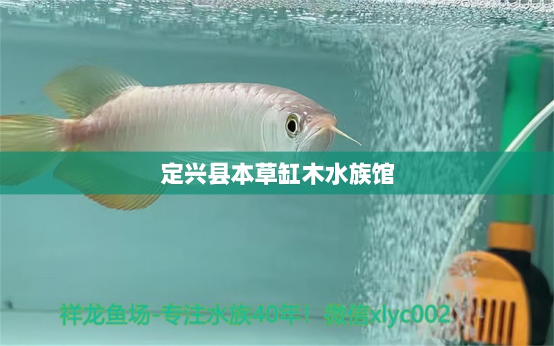 定興縣本草缸木水族館