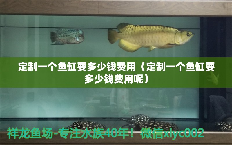 定制一個魚缸要多少錢費用（定制一個魚缸要多少錢費用呢） 觀賞魚市場（混養(yǎng)魚）