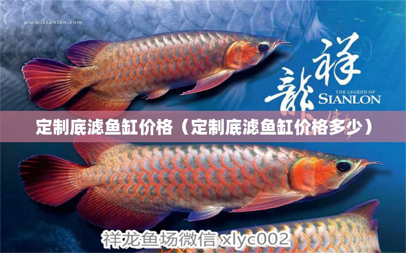 定制底濾魚缸價(jià)格（定制底濾魚缸價(jià)格多少） 觀賞魚市場(chǎng)（混養(yǎng)魚）