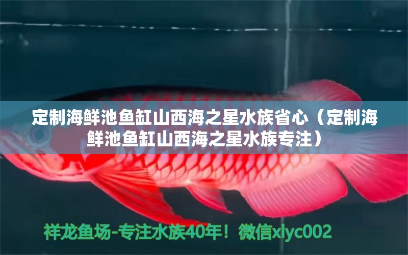 定制海鮮池魚缸山西海之星水族省心（定制海鮮池魚缸山西海之星水族專注）