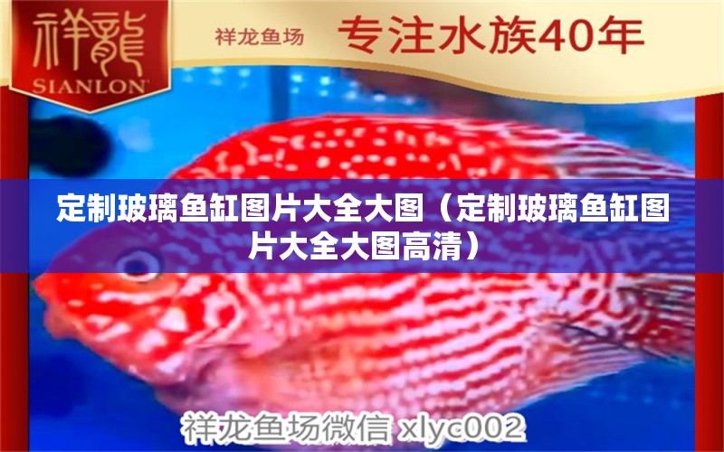 定制玻璃魚缸圖片大全大圖（定制玻璃魚缸圖片大全大圖高清）