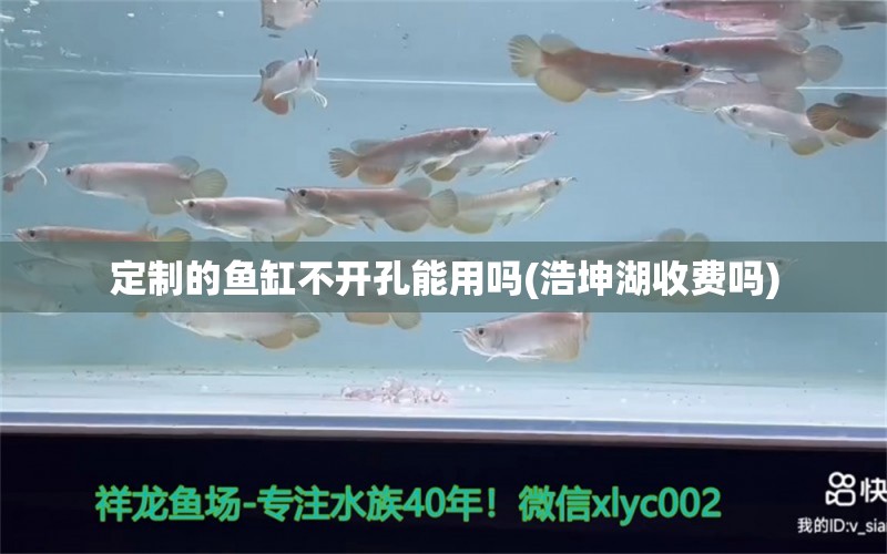 定制的魚缸不開孔能用嗎(浩坤湖收費嗎) 和尚魚