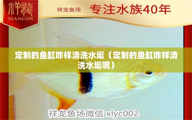 定制的魚(yú)缸咋樣清洗水垢（定制的魚(yú)缸咋樣清洗水垢呢） 祥龍魚(yú)場(chǎng)