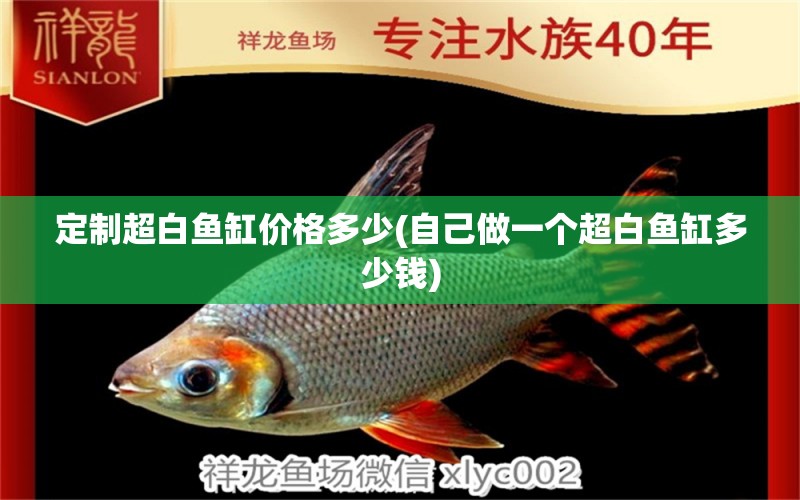 定制超白魚缸價格多少(自己做一個超白魚缸多少錢) 水族世界