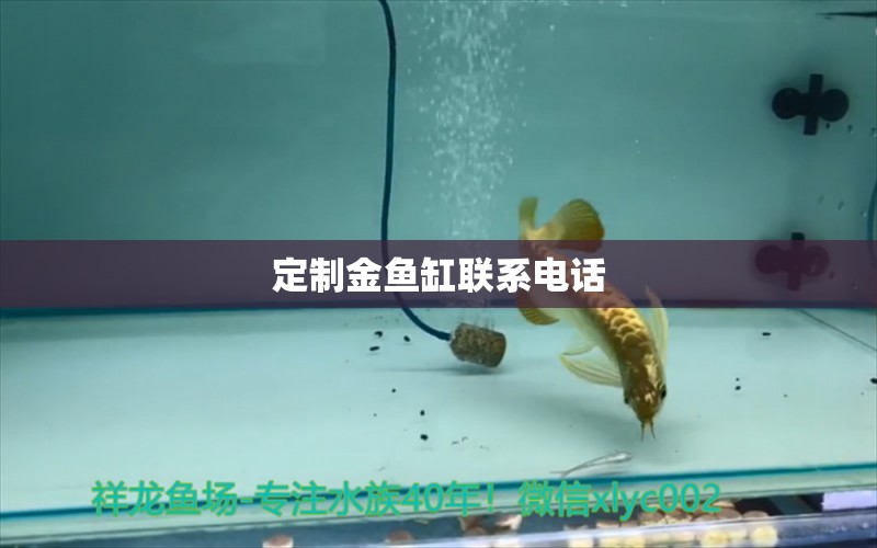 定制金魚(yú)缸聯(lián)系電話(huà)