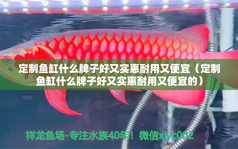 定制魚缸什么牌子好又實(shí)惠耐用又便宜（定制魚缸什么牌子好又實(shí)惠耐用又便宜的）