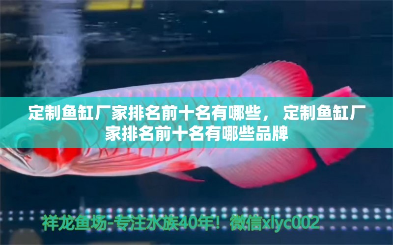 定制魚缸廠家排名前十名有哪些， 定制魚缸廠家排名前十名有哪些品牌