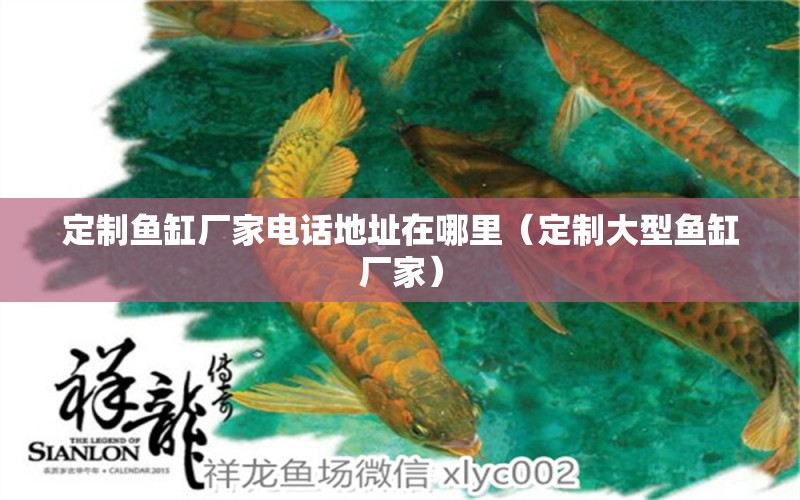 定制魚缸廠家電話地址在哪里（定制大型魚缸廠家）