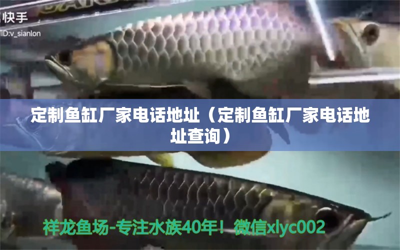 定制魚(yú)缸廠家電話地址（定制魚(yú)缸廠家電話地址查詢） 祥龍魚(yú)場(chǎng)