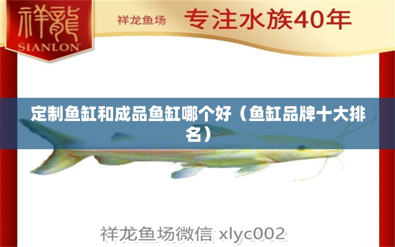 定制魚缸和成品魚缸哪個好（魚缸品牌十大排名） 其他品牌魚缸