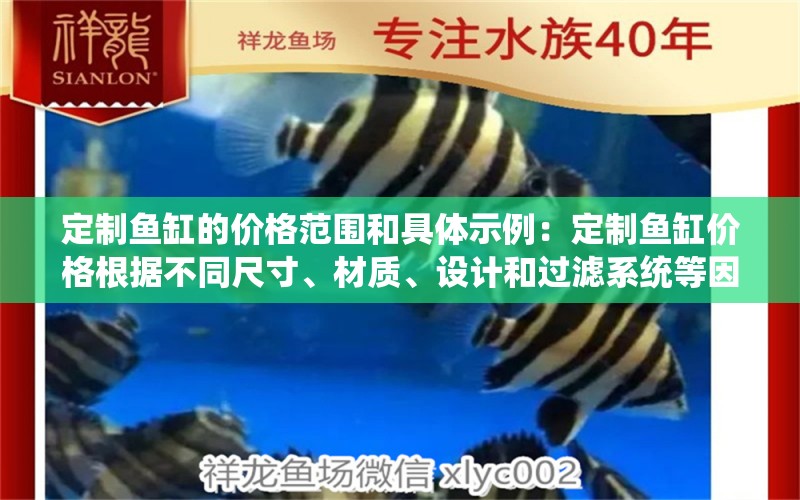 定制魚(yú)缸的價(jià)格范圍和具體示例：定制魚(yú)缸價(jià)格根據(jù)不同尺寸、材質(zhì)、設(shè)計(jì)和過(guò)濾系統(tǒng)等因素有差異 魚(yú)缸百科 第2張